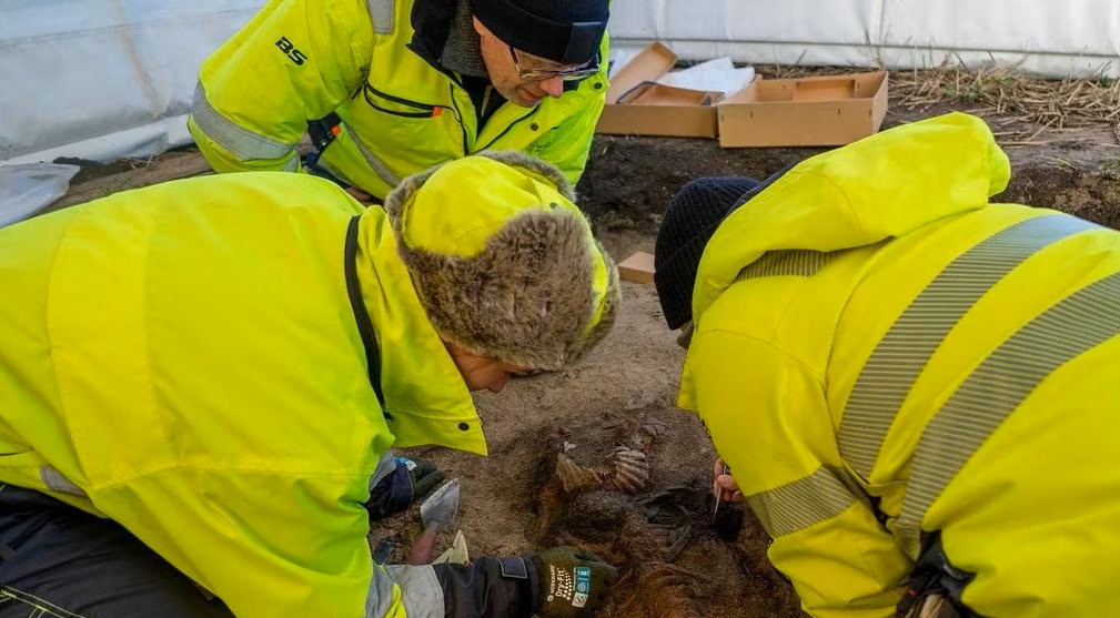 Mộ phần "công chúa Viking" 1.200 năm chứa điều không thể giải thích- Ảnh 1. Mộ phần "công chúa Viking" 1.200 năm chứa điều không thể giải thích- Ảnh 1.