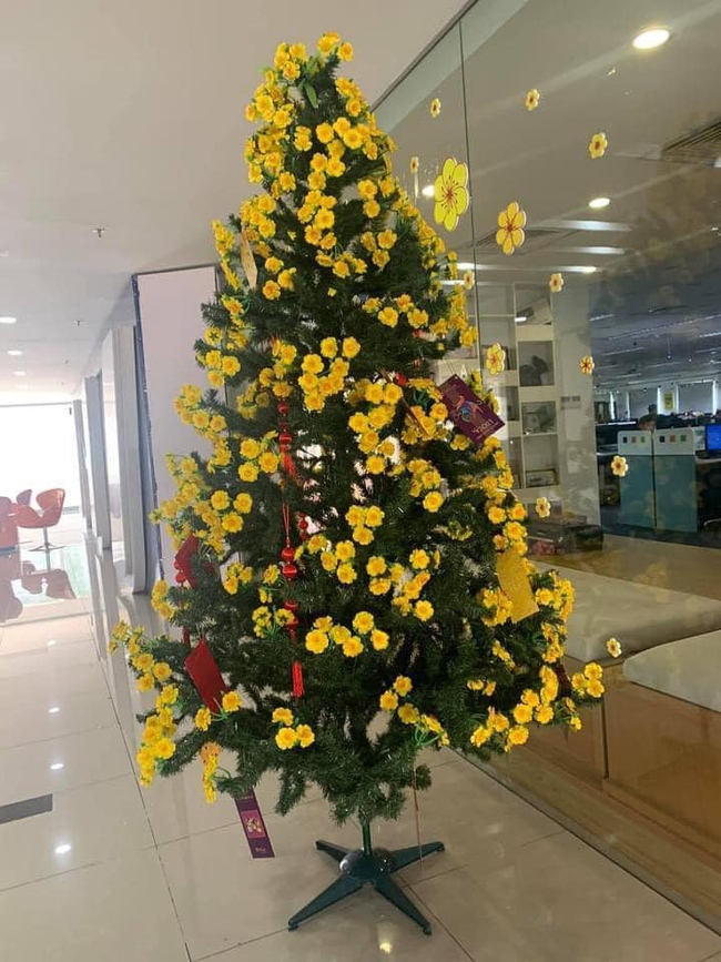 Tha cho cây thông Noel đi, Tết còn tận 3 tháng nữa mới đến- Ảnh 3.