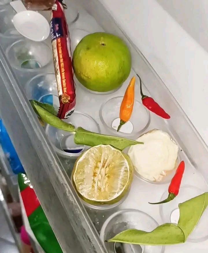 Tìm ra thứ hình tròn, nhiều nước mà tủ lạnh Việt Nam nào cũng có: Thế giới "vắt óc" cũng không hiểu được!- Ảnh 4. Tìm ra thứ hình tròn, nhiều nước mà tủ lạnh Việt Nam nào cũng có: Thế giới "vắt óc" cũng không hiểu được!- Ảnh 4.