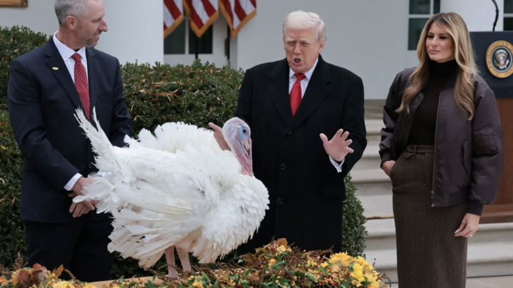 Ông Trump ân xá cho gà tây- Ảnh 1.