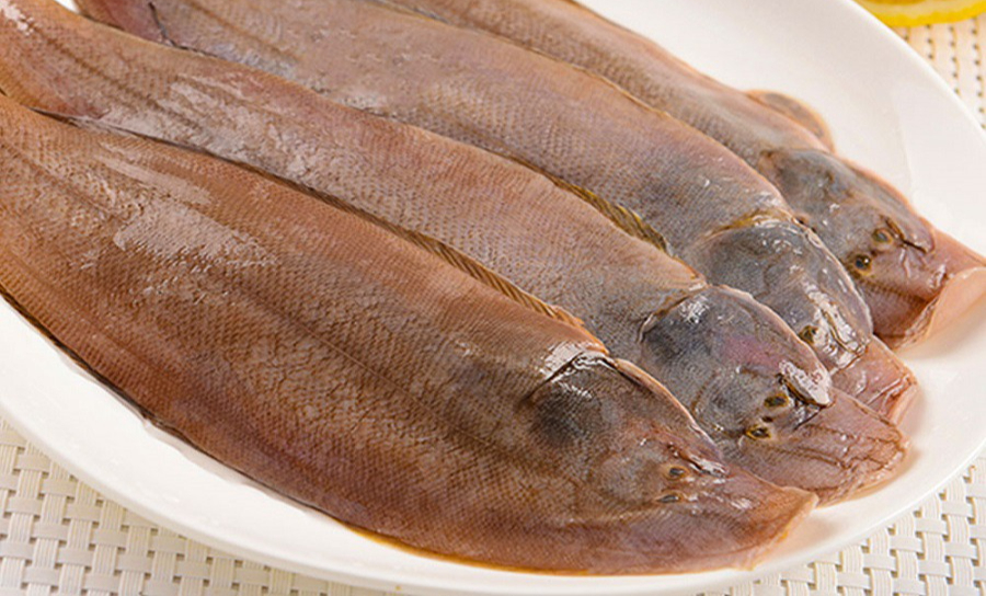 5 loại cá thịt dày, ít xương, bổ như tổ yến: Ra chợ thấy thì nhắm mắt MUA NGAY- Ảnh 1.