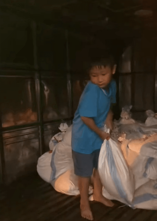 "Đại hội đập lợn đất" cùng lời nhắn gửi ngây thơ, các bé cũng đang giúp đỡ bà con vùng lũ bằng những việc làm vô cùng ý nghĩa- Ảnh 7.