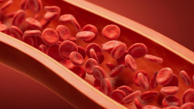 Người c&oacute; "m&aacute;u sạch" thường c&oacute; 5 đặc điểm - nếu bạn đạt được 4, xin ch&uacute;c mừng!- Ảnh 1.