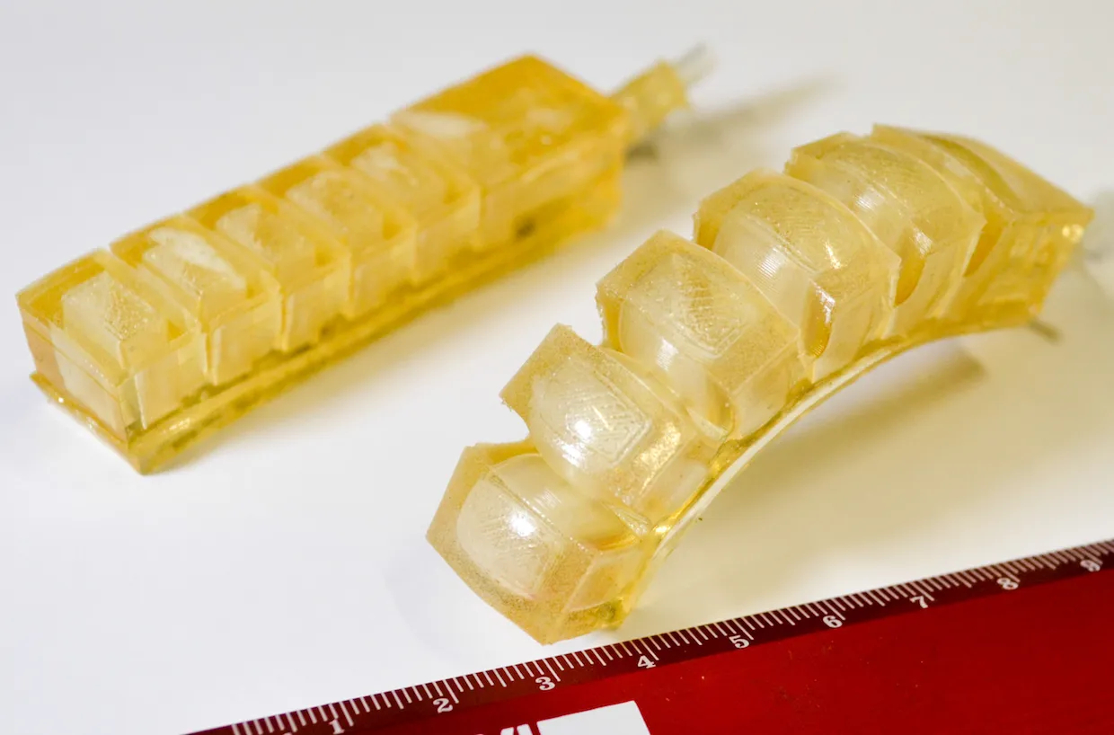 Robot này ăn được- Ảnh 3.