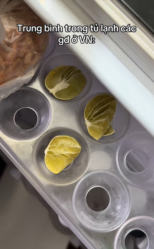 Tìm ra thứ hình tròn, nhiều nước mà tủ lạnh Việt Nam nào cũng có: Thế giới "vắt óc" cũng không hiểu được!- Ảnh 3. Tìm ra thứ hình tròn, nhiều nước mà tủ lạnh Việt Nam nào cũng có: Thế giới "vắt óc" cũng không hiểu được!- Ảnh 3.