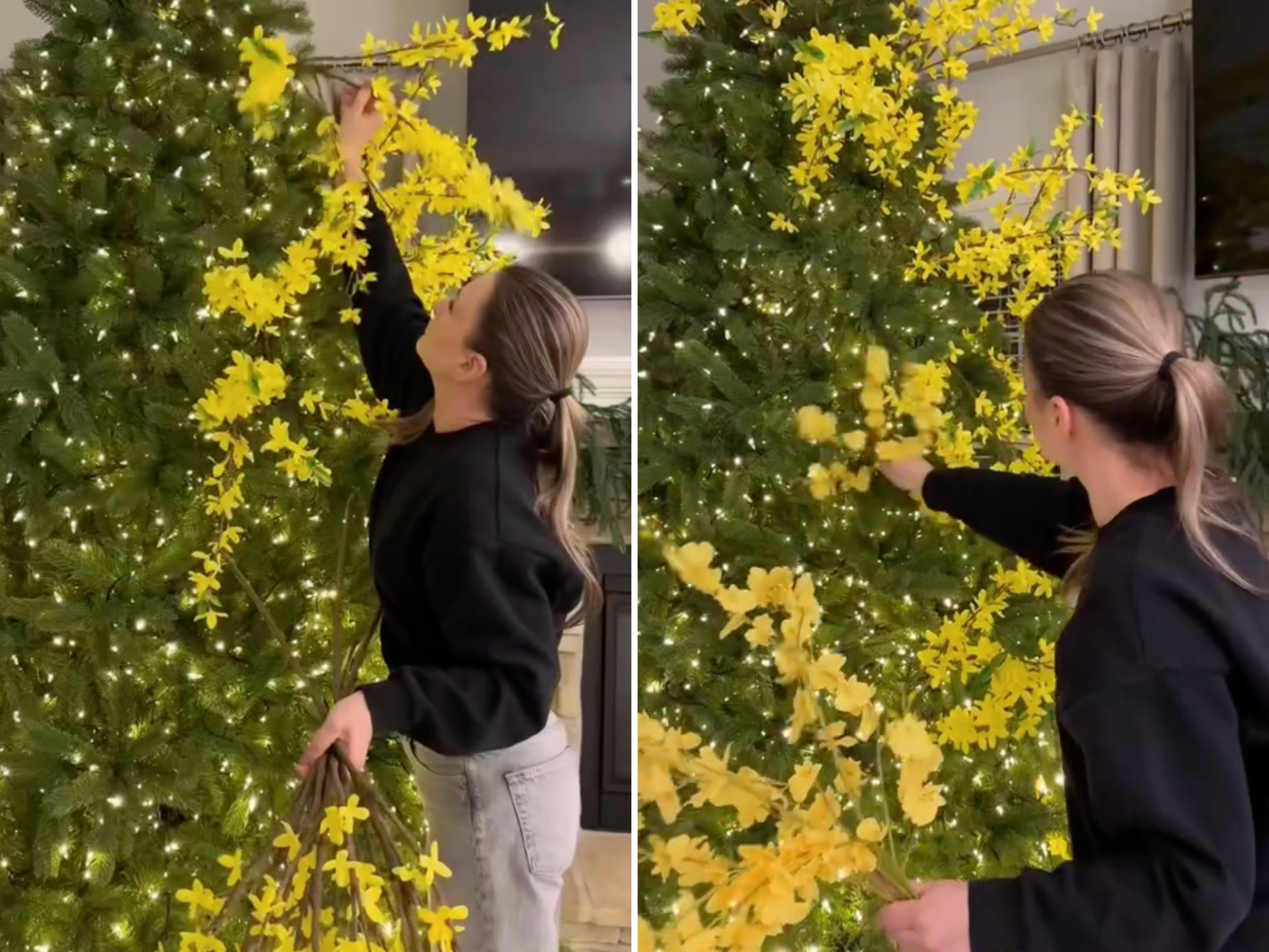 Tha cho cây thông Noel đi, Tết còn tận 3 tháng nữa mới đến- Ảnh 1.