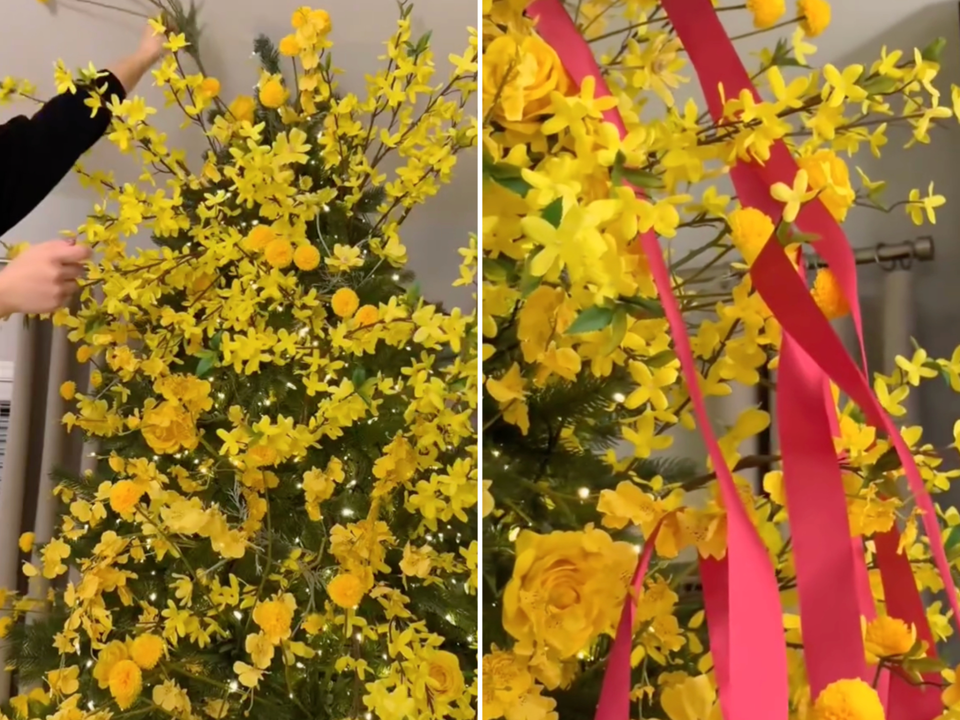 Tha cho cây thông Noel đi, Tết còn tận 3 tháng nữa mới đến- Ảnh 2.