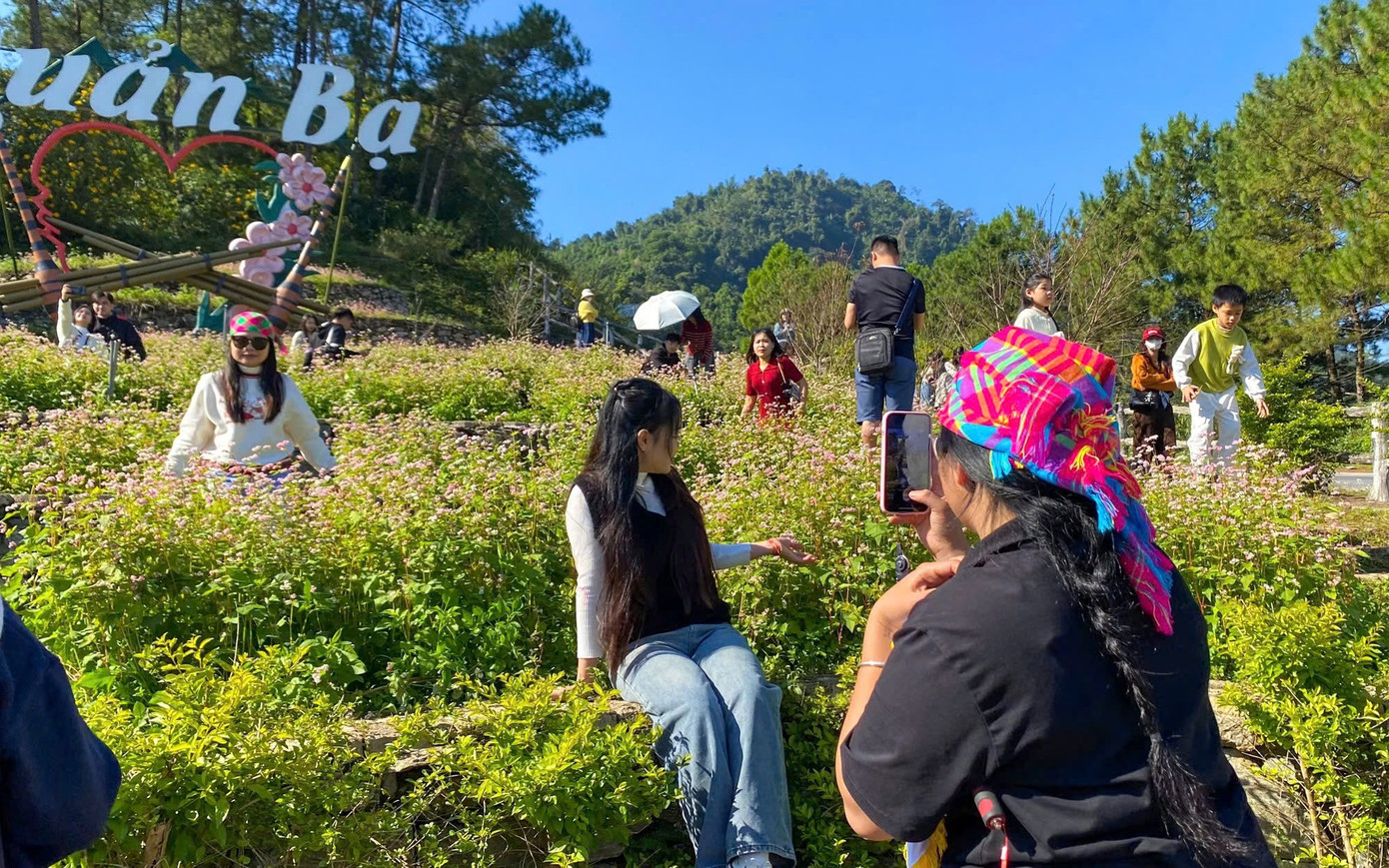 Gen Z rủ nhau lên núi săn mây, ngắm hoa tam giác mạch- Ảnh 2.