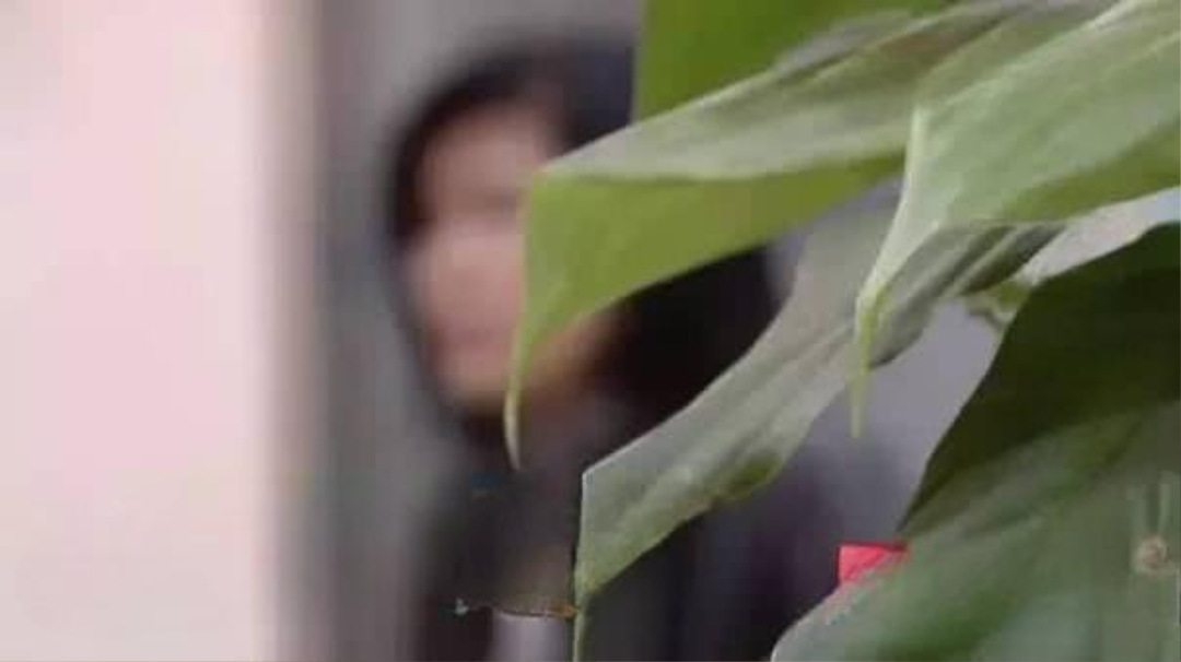 Người phụ nữ mua BĐS 280m2 giá 4 tỷ đồng nhưng được đền bù 55 tỷ lại chẳng chịu di dời: “Tại sao không phải 110 tỷ?”- Ảnh 1. Người phụ nữ mua BĐS 280m2 giá 4 tỷ đồng nhưng được đền bù 55 tỷ lại chẳng chịu di dời: “Tại sao không phải 110 tỷ?”- Ảnh 1.