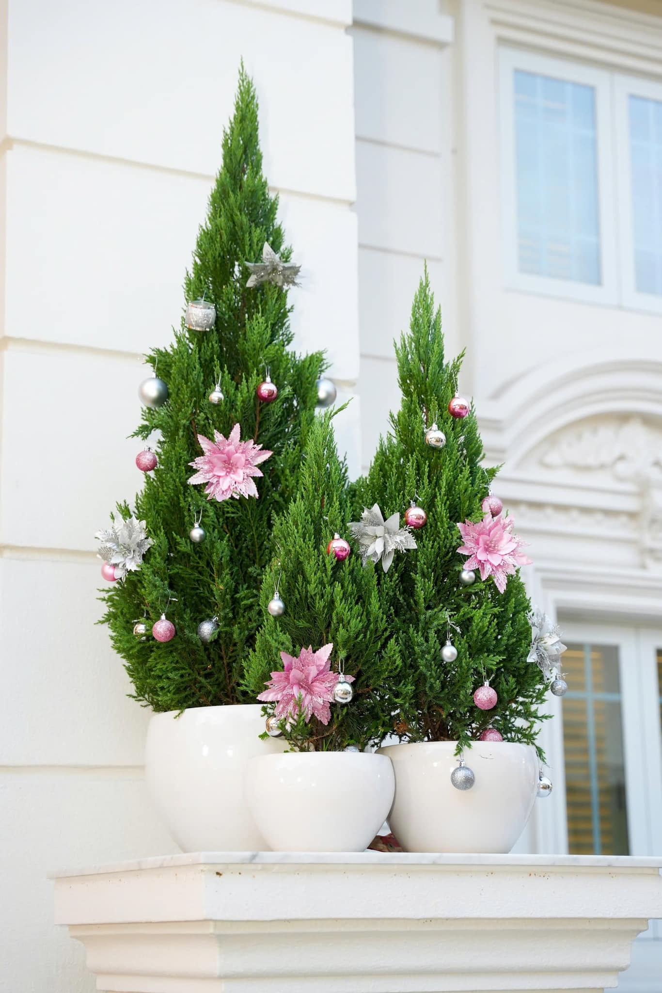 200 tỷ của doanh nhân Phương Lê và NSƯT Vũ Luân- Ảnh 10. 200 tỷ của doanh nhân Phương Lê và NSƯT Vũ Luân- Ảnh 10.