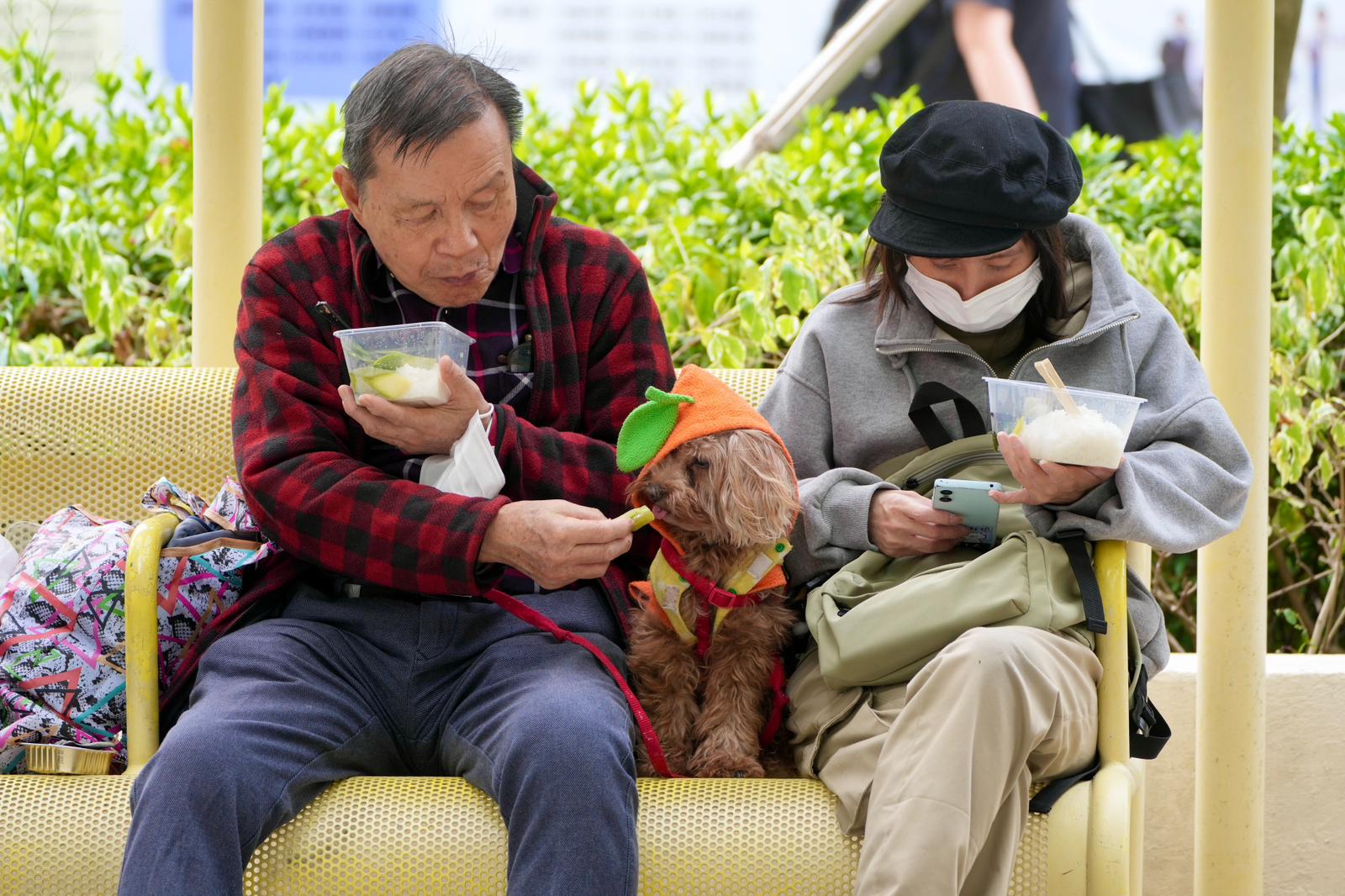 “Không còn gì cả”: Người dân Hong Kong (Trung Quốc) khốn khổ vì hỏa hoạn, hàng ngàn người lâm vào cảnh màn trời chiếu đất- Ảnh 1. “Không còn gì cả”: Người dân Hong Kong (Trung Quốc) khốn khổ vì hỏa hoạn, hàng ngàn người lâm vào cảnh màn trời chiếu đất- Ảnh 1.