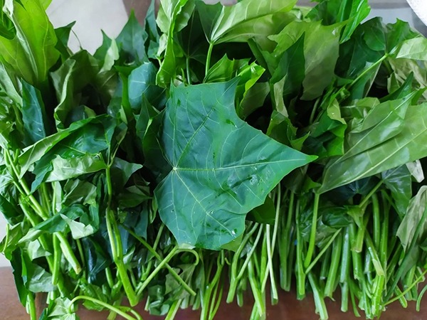 Loại rau Loại rau