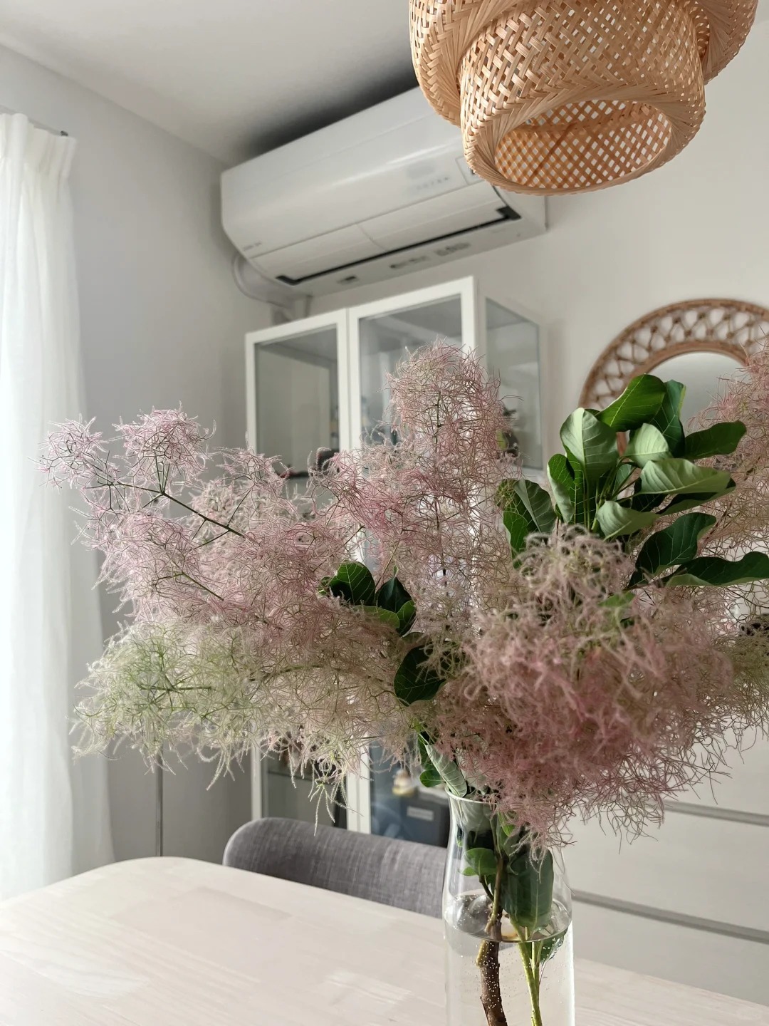 "Lạc lối" trước bình hoa khói tím: Loài cây nhìn như mây bông đang gây sốt góc nhà chị em- Ảnh 15.