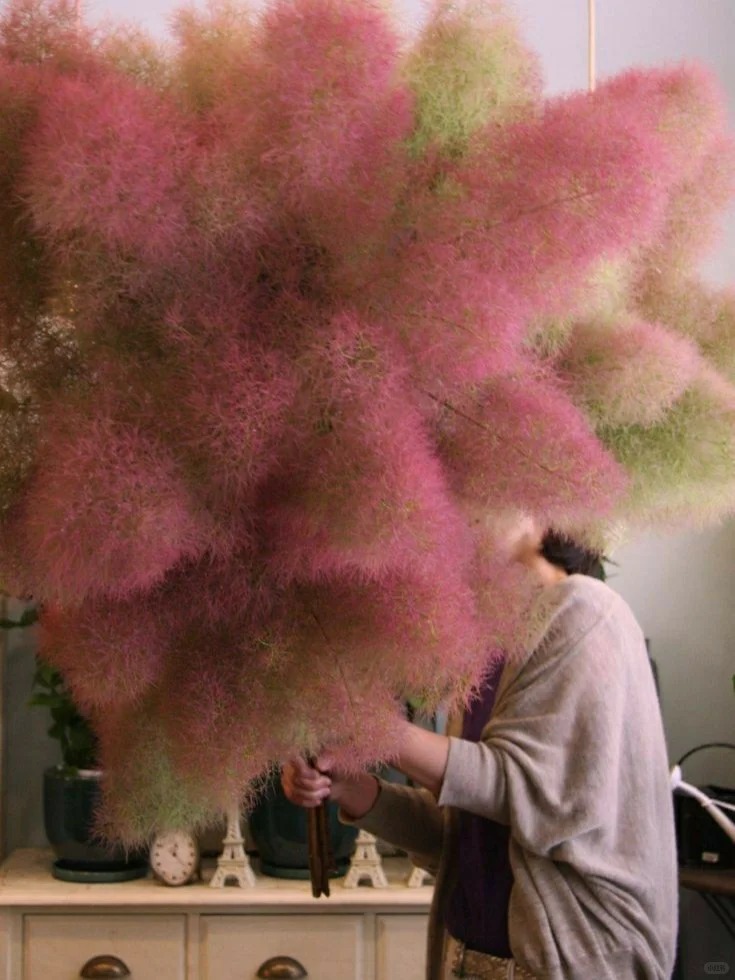 "Lạc lối" trước bình hoa khói tím: Loài cây nhìn như mây bông đang gây sốt góc nhà chị em- Ảnh 9.