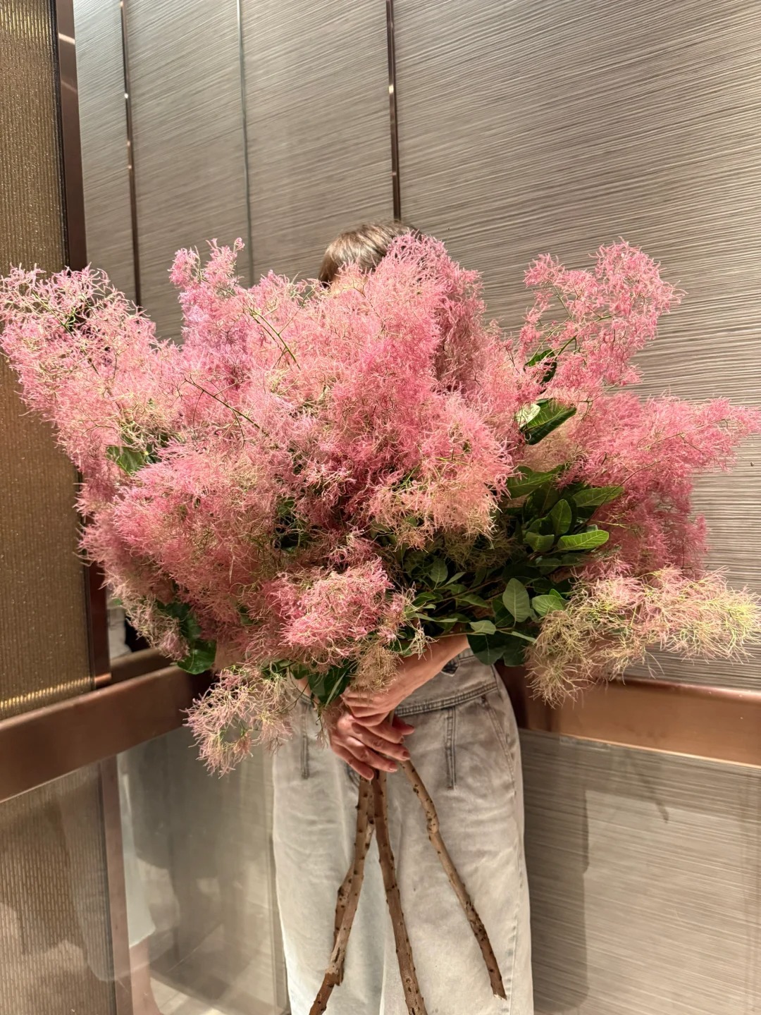 "Lạc lối" trước bình hoa khói tím: Loài cây nhìn như mây bông đang gây sốt góc nhà chị em- Ảnh 8.