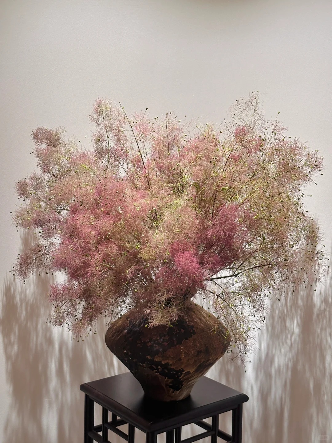 "Lạc lối" trước bình hoa khói tím: Loài cây nhìn như mây bông đang gây sốt góc nhà chị em- Ảnh 17.