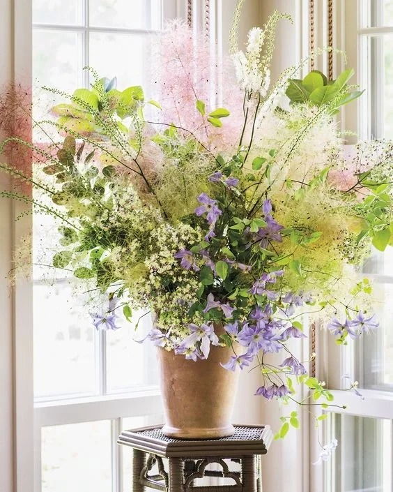 "Lạc lối" trước bình hoa khói tím: Loài cây nhìn như mây bông đang gây sốt góc nhà chị em- Ảnh 16.