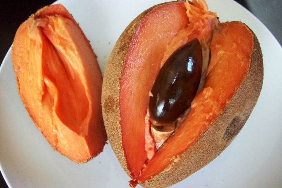 Loại quả xưa không ai biết, nay thành đặc sản bổ như nhân sâm, giá ngất ngưởng 400.000 đồng/kg- Ảnh 1. Loại quả xưa không ai biết, nay thành đặc sản bổ như nhân sâm, giá ngất ngưởng 400.000 đồng/kg- Ảnh 1.