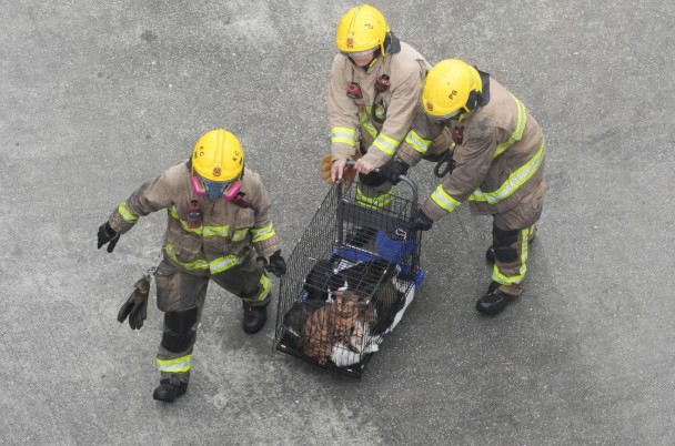 “Tôi không biết phải làm tang lễ cho mấy người”: Nỗi lòng nghẹn ngào của người thân đang hoảng loạn tìm kiếm nạn nhân vụ cháy chung cư Hong Kong (Trung Quốc)- Ảnh 2. “Tôi không biết phải làm tang lễ cho mấy người”: Nỗi lòng nghẹn ngào của người thân đang hoảng loạn tìm kiếm nạn nhân vụ cháy chung cư Hong Kong (Trung Quốc)- Ảnh 2.