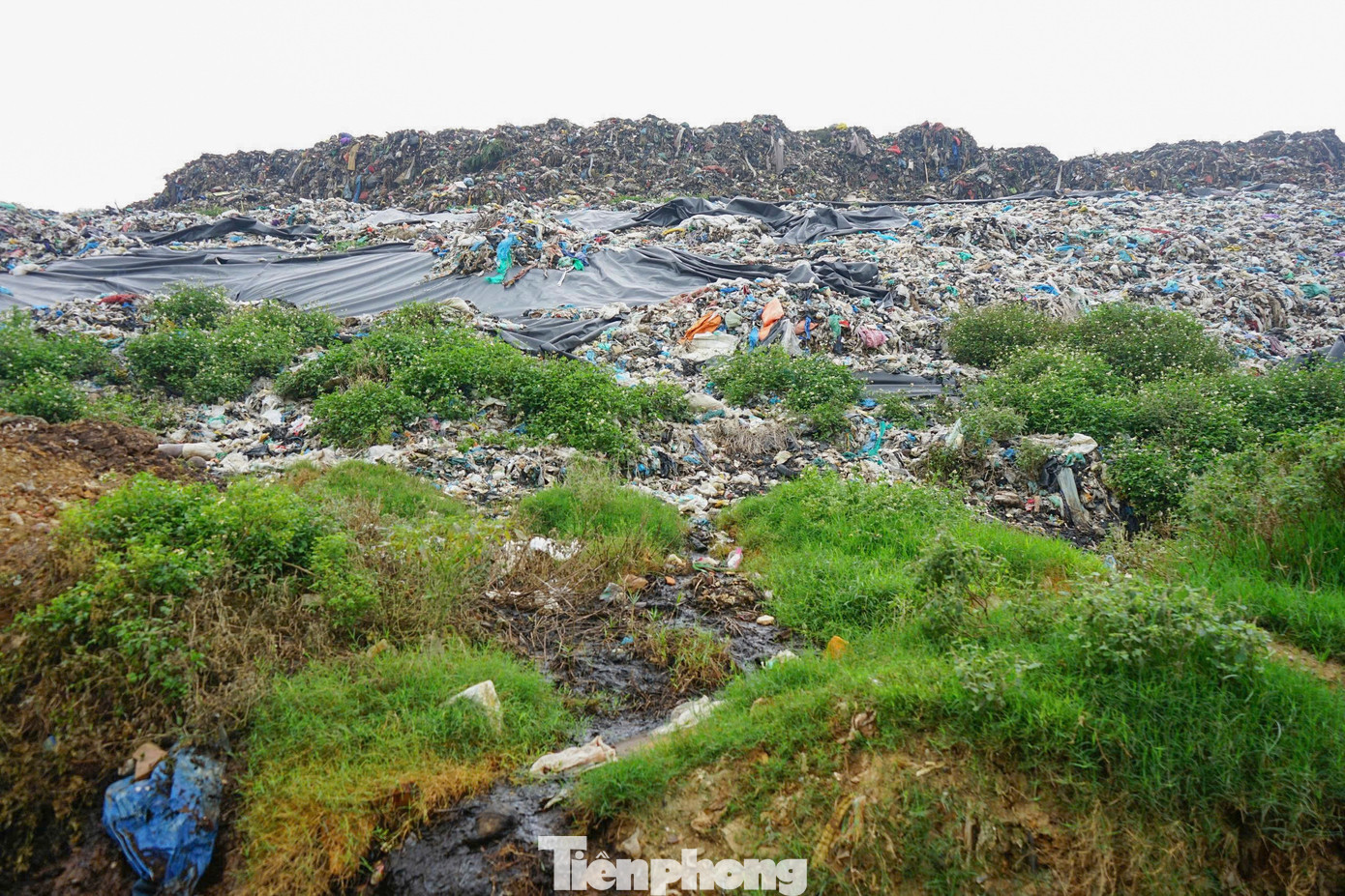 Núi rác ‘án ngữ’ khu du lịch biển Sầm Sơn- Ảnh 11.