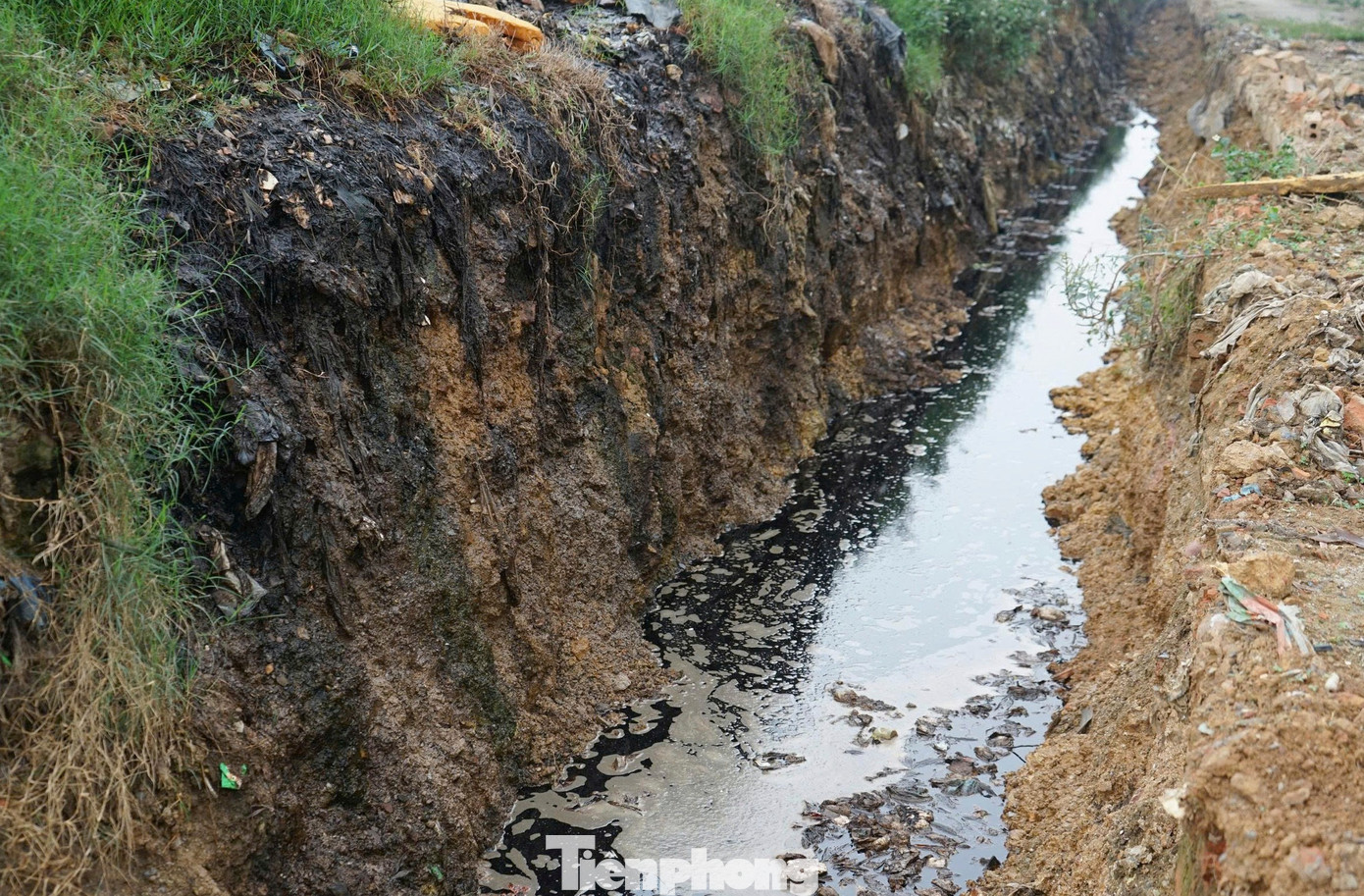 Núi rác ‘án ngữ’ khu du lịch biển Sầm Sơn- Ảnh 8.