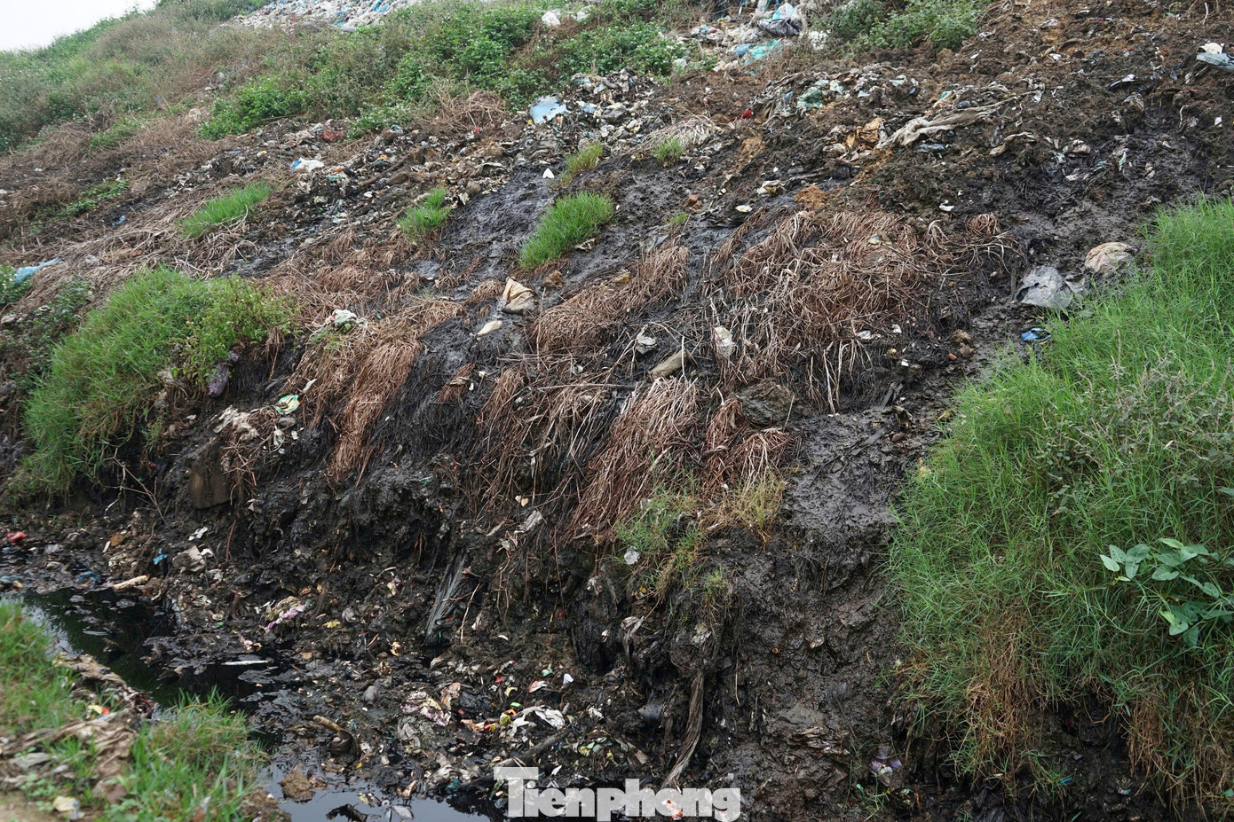 Núi rác ‘án ngữ’ khu du lịch biển Sầm Sơn- Ảnh 10.