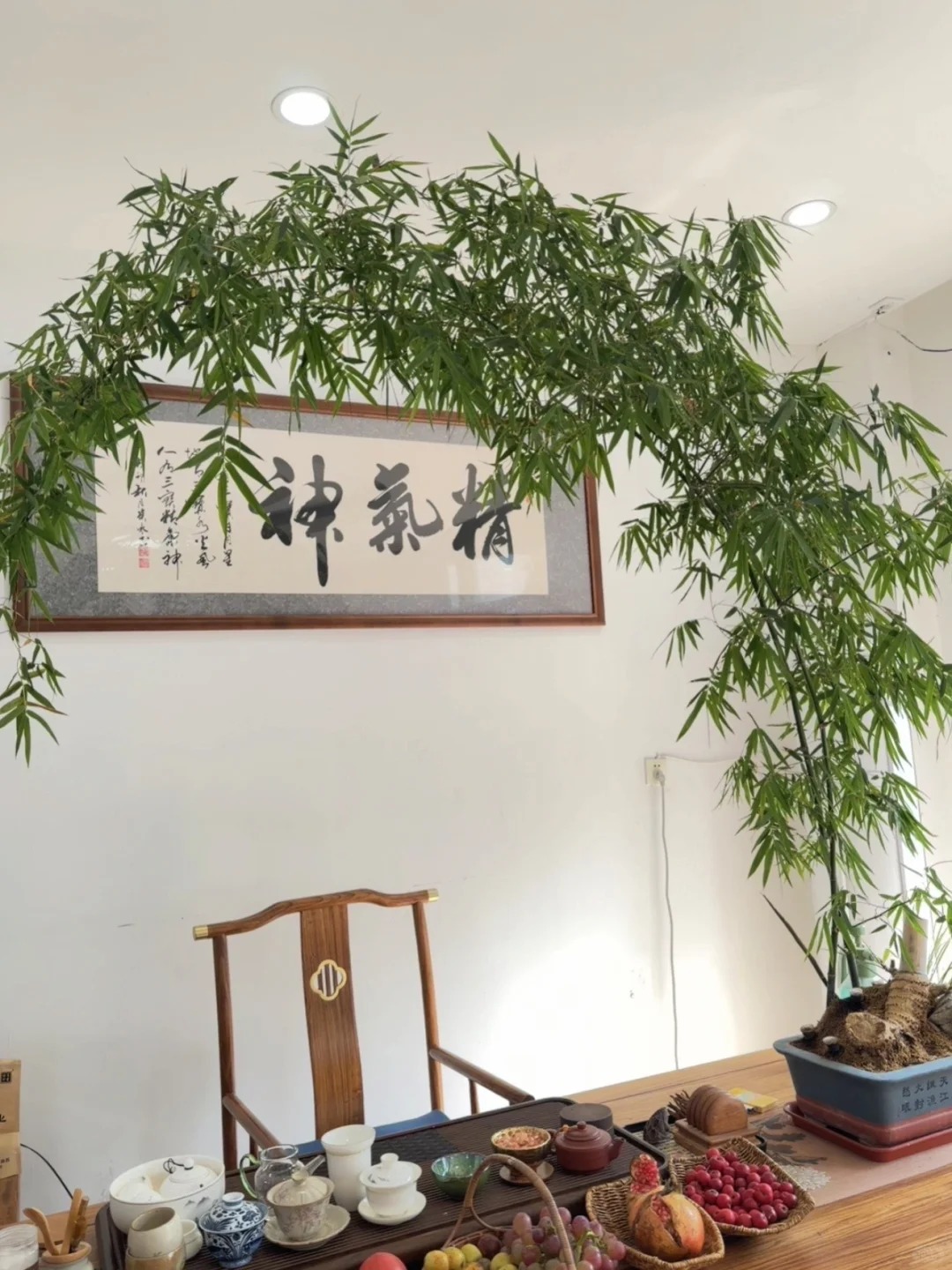 Tre ảnh hưởng gì tới nhà ở? Trồng đúng chỗ mát nhà, yên lòng, vận dễ lên hương- Ảnh 11. Tre ảnh hưởng gì tới nhà ở? Trồng đúng chỗ mát nhà, yên lòng, vận dễ lên hương- Ảnh 11.