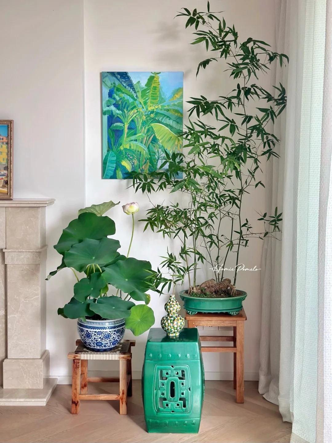 Tre ảnh hưởng gì tới nhà ở? Trồng đúng chỗ mát nhà, yên lòng, vận dễ lên hương- Ảnh 9. Tre ảnh hưởng gì tới nhà ở? Trồng đúng chỗ mát nhà, yên lòng, vận dễ lên hương- Ảnh 9.