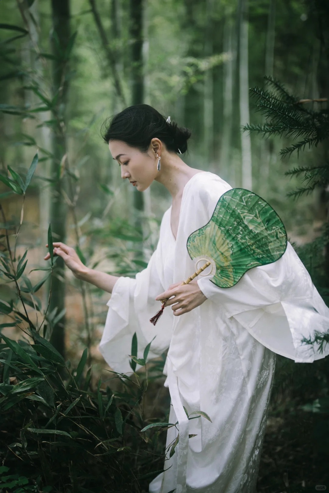 Tre ảnh hưởng gì tới nhà ở? Trồng đúng chỗ mát nhà, yên lòng, vận dễ lên hương- Ảnh 2. Tre ảnh hưởng gì tới nhà ở? Trồng đúng chỗ mát nhà, yên lòng, vận dễ lên hương- Ảnh 2.