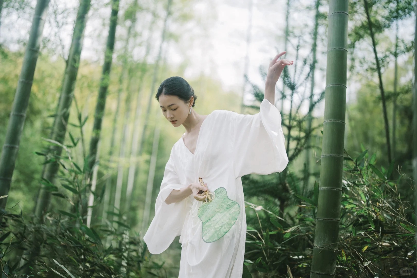 Tre ảnh hưởng gì tới nhà ở? Trồng đúng chỗ mát nhà, yên lòng, vận dễ lên hương- Ảnh 1. Tre ảnh hưởng gì tới nhà ở? Trồng đúng chỗ mát nhà, yên lòng, vận dễ lên hương- Ảnh 1.