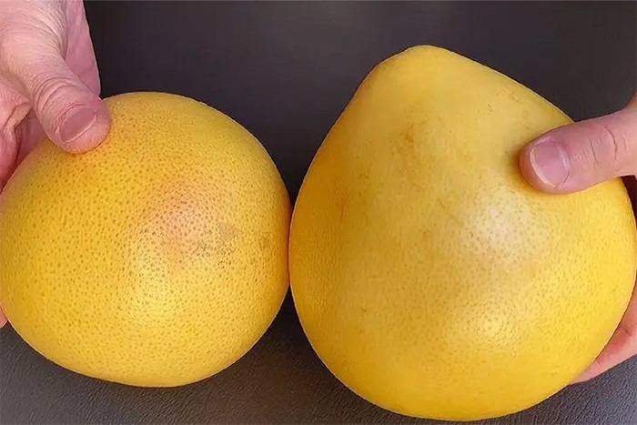 Mua bưởi, cứ học thuộc mẹo này là biết ngay bưởi ngon hay bưởi dở- Ảnh 2.