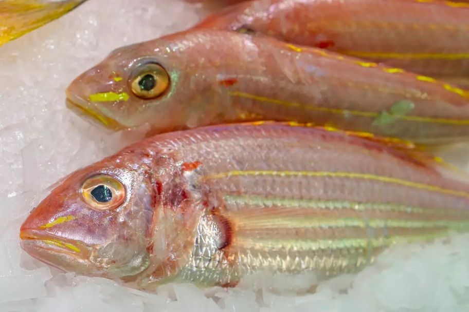 Ra chợ gặp 5 loại cá này thì mua ngay kẻo hết, toàn cá tự nhiên không thể nuôi nhân tạo, nhiều thịt, ít xương- Ảnh 2. Ra chợ gặp 5 loại cá này thì mua ngay kẻo hết, toàn cá tự nhiên không thể nuôi nhân tạo, nhiều thịt, ít xương- Ảnh 2.