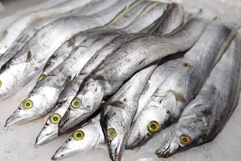 Ra chợ gặp 5 loại cá này thì mua ngay kẻo hết, toàn cá tự nhiên không thể nuôi nhân tạo, nhiều thịt, ít xương- Ảnh 3. Ra chợ gặp 5 loại cá này thì mua ngay kẻo hết, toàn cá tự nhiên không thể nuôi nhân tạo, nhiều thịt, ít xương- Ảnh 3.