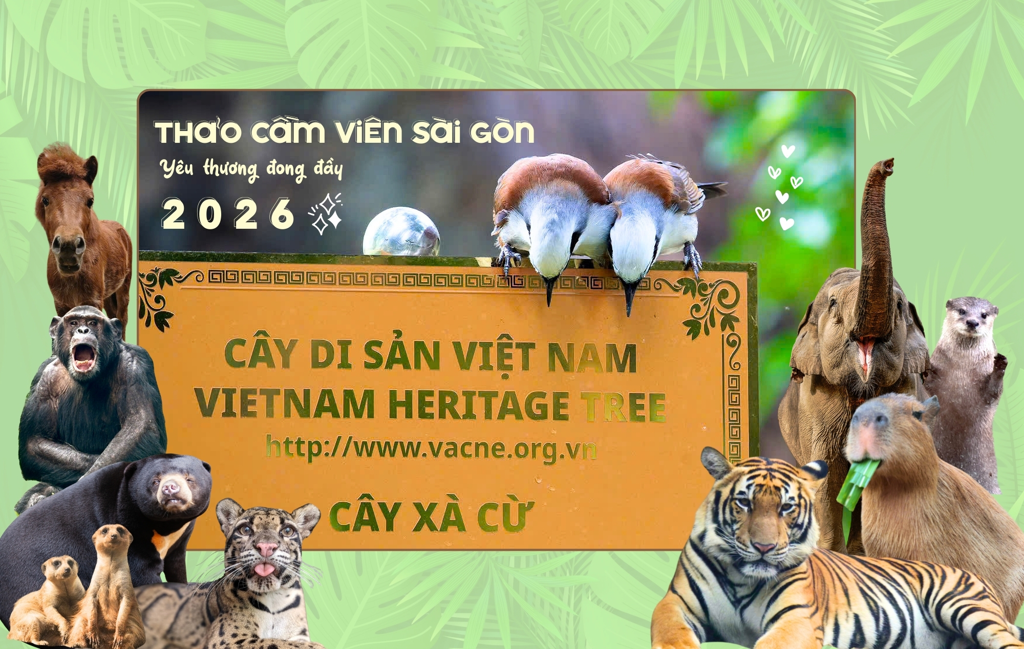Thảo Cầm Viên Sài Gòn ra mắt bộ lịch “Yêu thương đong đầy” sẻ chia cùng đồng bào vùng lũ- Ảnh 5. Thảo Cầm Viên Sài Gòn ra mắt bộ lịch “Yêu thương đong đầy” sẻ chia cùng đồng bào vùng lũ- Ảnh 5.