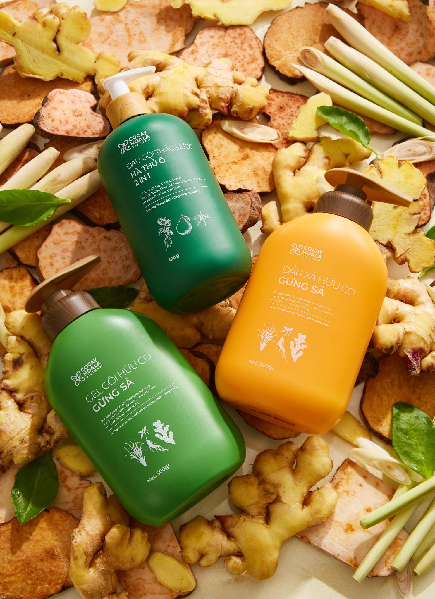 Xu hướng gội đầu với thứ củ rẻ tiền này để giảm rụng tóc thần kỳ- Ảnh 6.