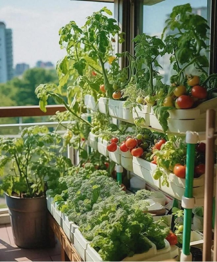 7 dấu hiệu cho thấy phong thủy nhà bạn đang rất tốt- Ảnh 1.