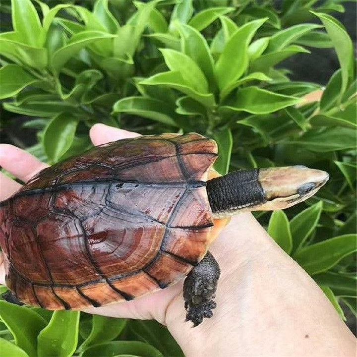 7 dấu hiệu cho thấy phong thủy nhà bạn đang rất tốt- Ảnh 2.