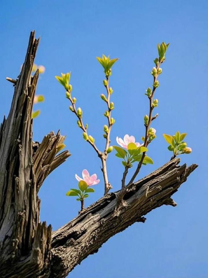 7 dấu hiệu cho thấy phong thủy nhà bạn đang rất tốt- Ảnh 3.