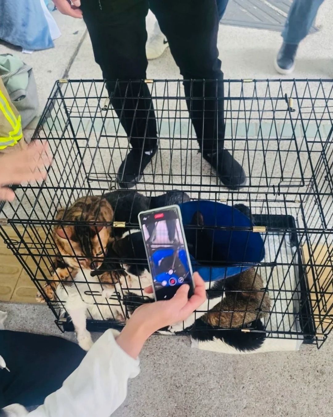 Câu chuyện ấm lòng giữa tang thương trong vụ cháy chung cư Hong Kong (Trung Quốc): Lính cứu hỏa có phải có "thần lực" không?- Ảnh 4. Câu chuyện ấm lòng giữa tang thương trong vụ cháy chung cư Hong Kong (Trung Quốc): Lính cứu hỏa có phải có "thần lực" không?- Ảnh 4.