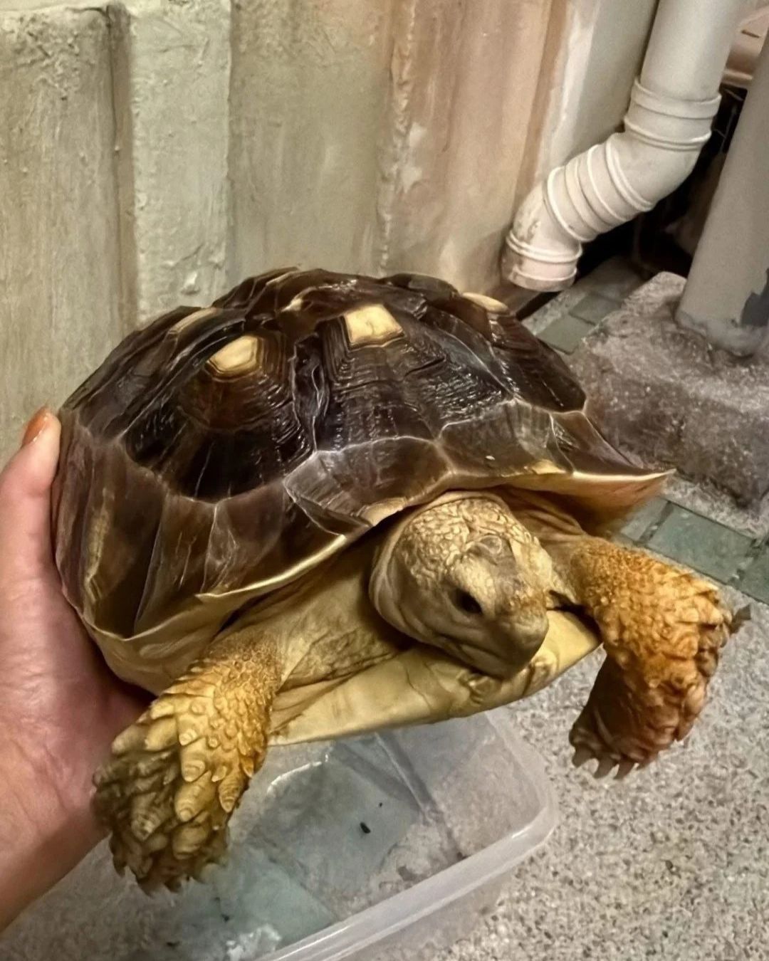 Câu chuyện ấm lòng giữa tang thương trong vụ cháy chung cư Hong Kong (Trung Quốc): Lính cứu hỏa có phải có "thần lực" không?- Ảnh 6. Câu chuyện ấm lòng giữa tang thương trong vụ cháy chung cư Hong Kong (Trung Quốc): Lính cứu hỏa có phải có "thần lực" không?- Ảnh 6.