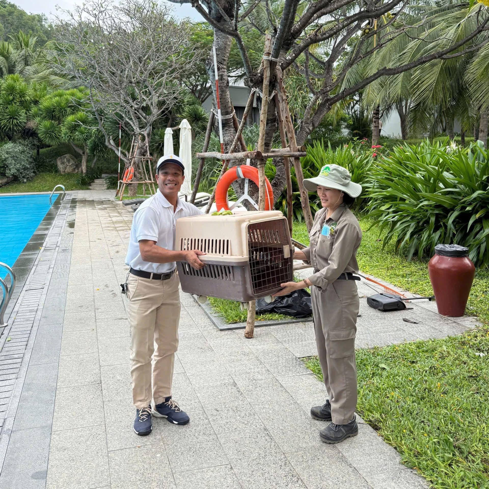 Fanpage của Vinpearl Nha Trang thông báo về tình trạng của đàn vịt Fanpage của Vinpearl Nha Trang thông báo về tình trạng của đàn vịt