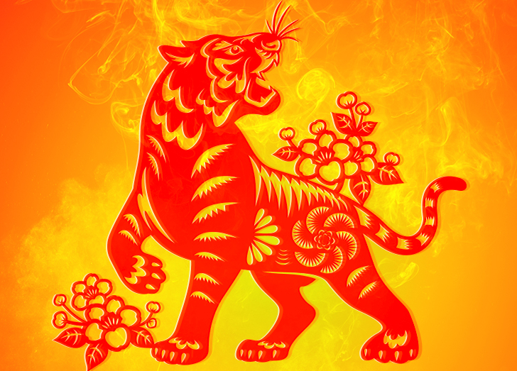 Tuổi Dần làm nghề gì nhanh giàu?- Ảnh 2.