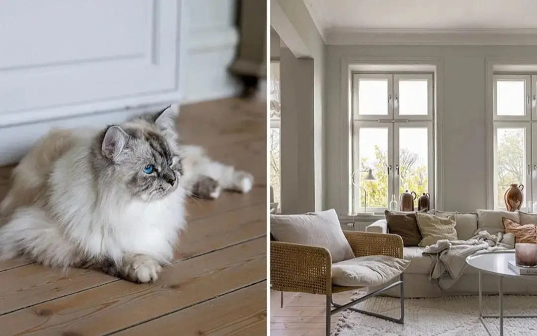 Căn hộ Bắc Âu kiểu này, chỉ cần thở thôi cũng thấy nhẹ lòng- Ảnh 4.