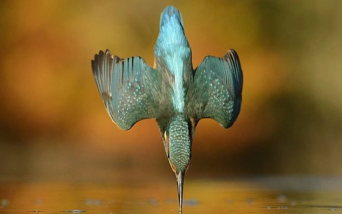 Xem cách người Nhật "vẽ hình" kỳ lạ cho tàu Shinkashen mới kinh ngạc trước khối óc của họ kỳ tài đến mức nào- Ảnh 3.