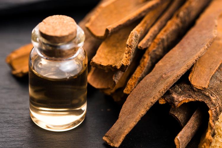 8 cách đuổi rết vĩnh viễn ra khỏi nhà- Ảnh 7.