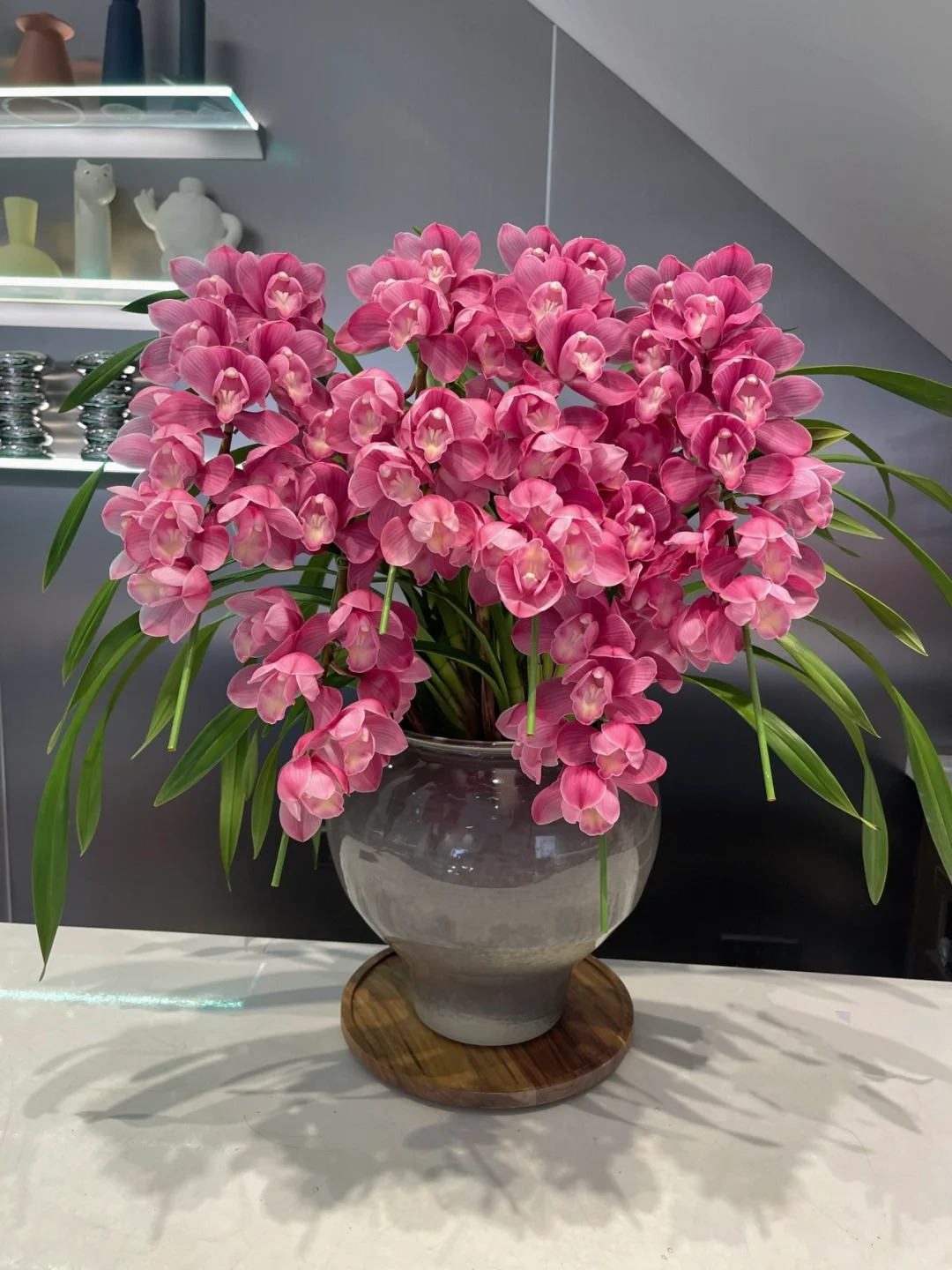 Tết Nguyên đán năm nay mà nhà không có 1 chậu địa lan thì đúng là "phải tội": Học 3 cách chăm từ giờ để hoa nở đầy phòng khách- Ảnh 22.