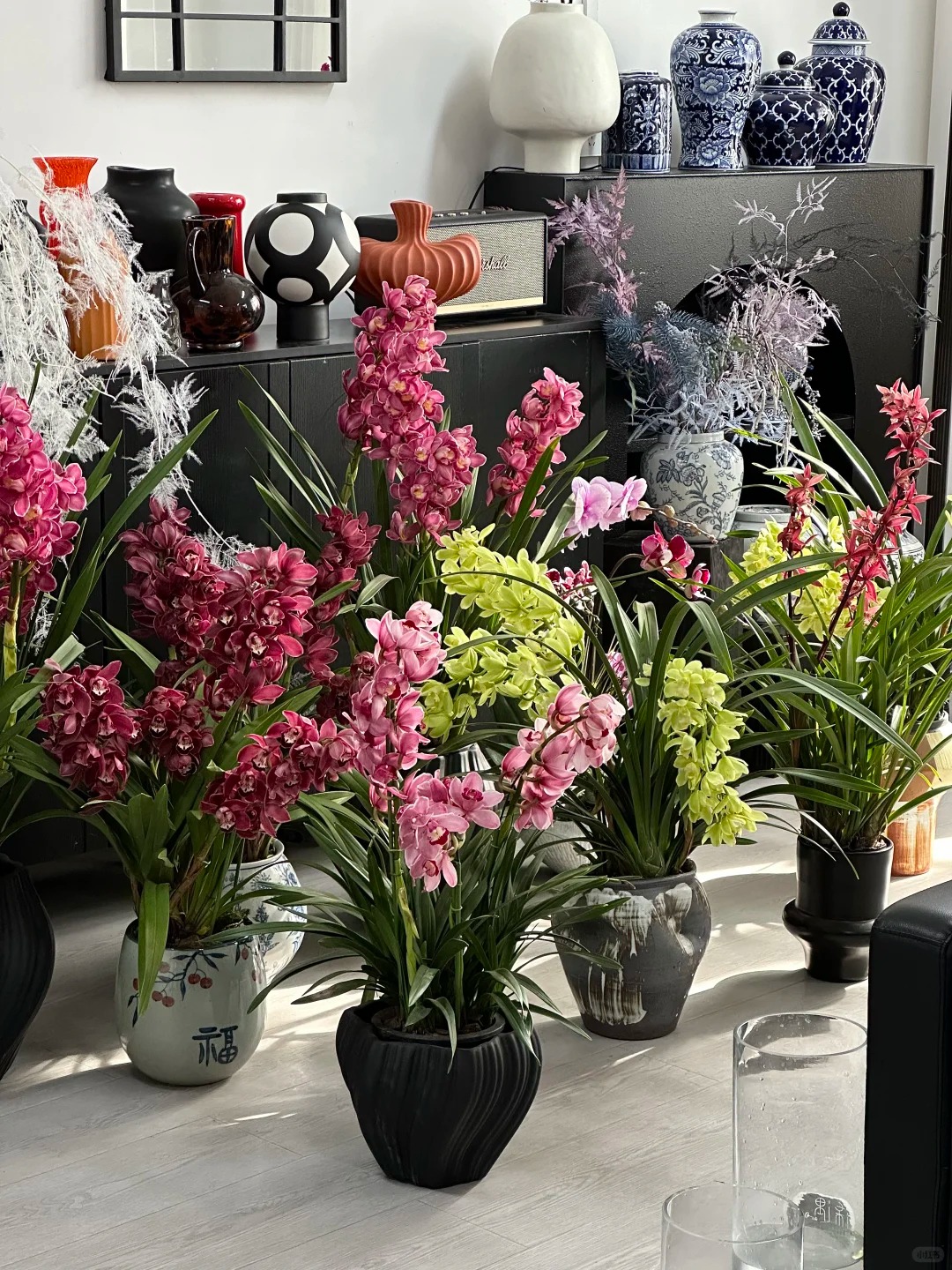 Tết Nguyên đán năm nay mà nhà không có 1 chậu địa lan thì đúng là "phải tội": Học 3 cách chăm từ giờ để hoa nở đầy phòng khách- Ảnh 14.