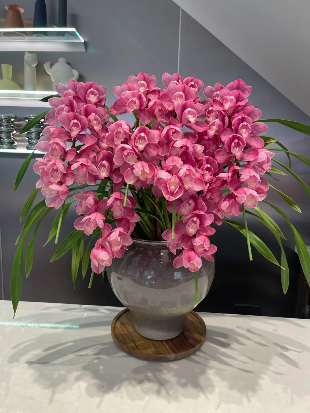 Tết Nguyên đán năm nay mà nhà không có 1 chậu địa lan thì đúng là "phải tội": Học 3 cách chăm từ giờ để hoa nở đầy phòng khách- Ảnh 13.