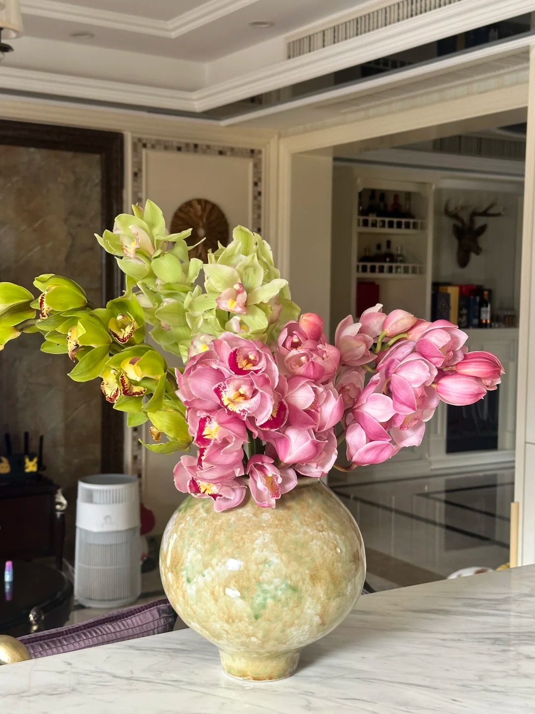 Tết Nguyên đán năm nay mà nhà không có 1 chậu địa lan thì đúng là "phải tội": Học 3 cách chăm từ giờ để hoa nở đầy phòng khách- Ảnh 10.