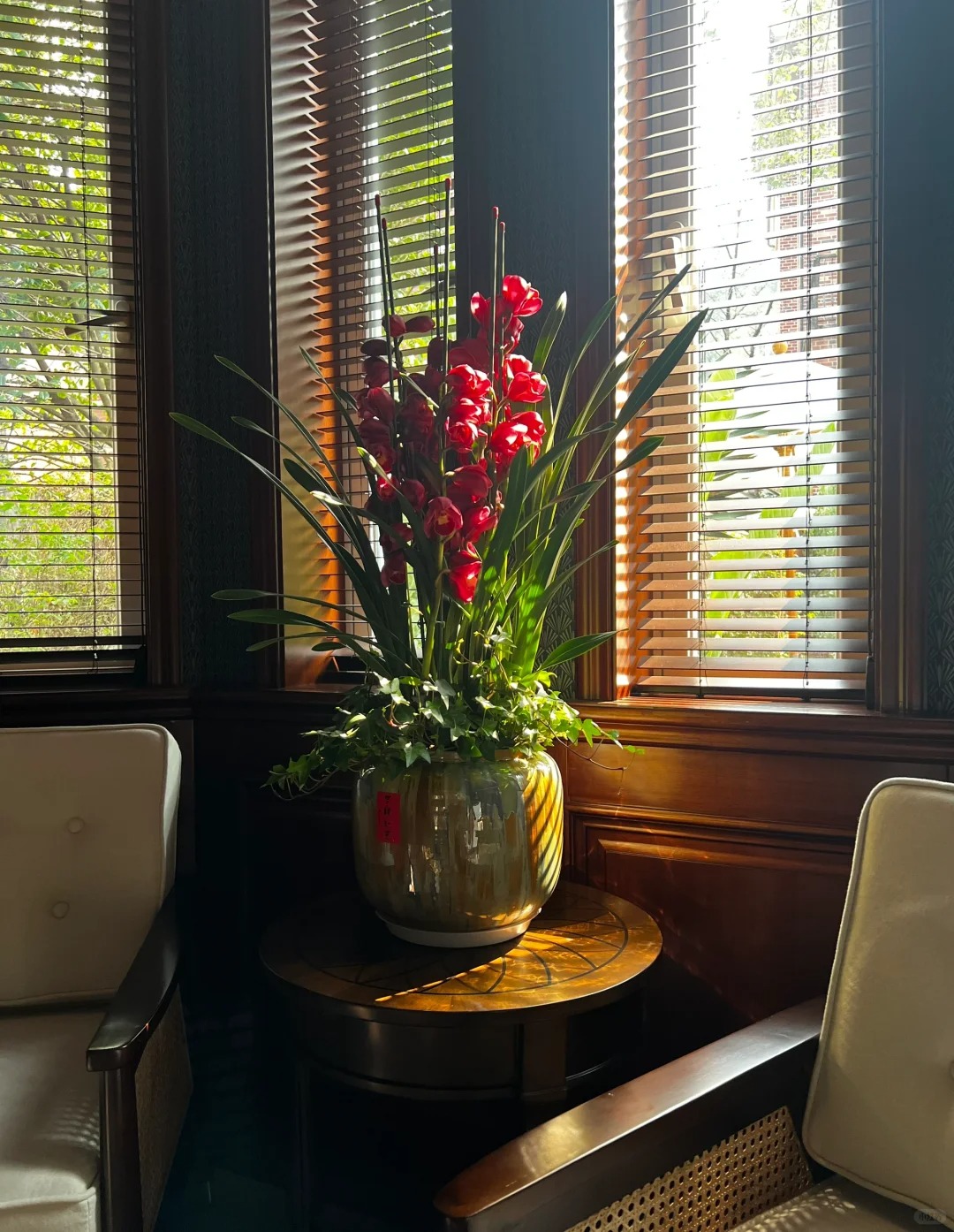 Tết Nguyên đán năm nay mà nhà không có 1 chậu địa lan thì đúng là "phải tội": Học 3 cách chăm từ giờ để hoa nở đầy phòng khách- Ảnh 9.